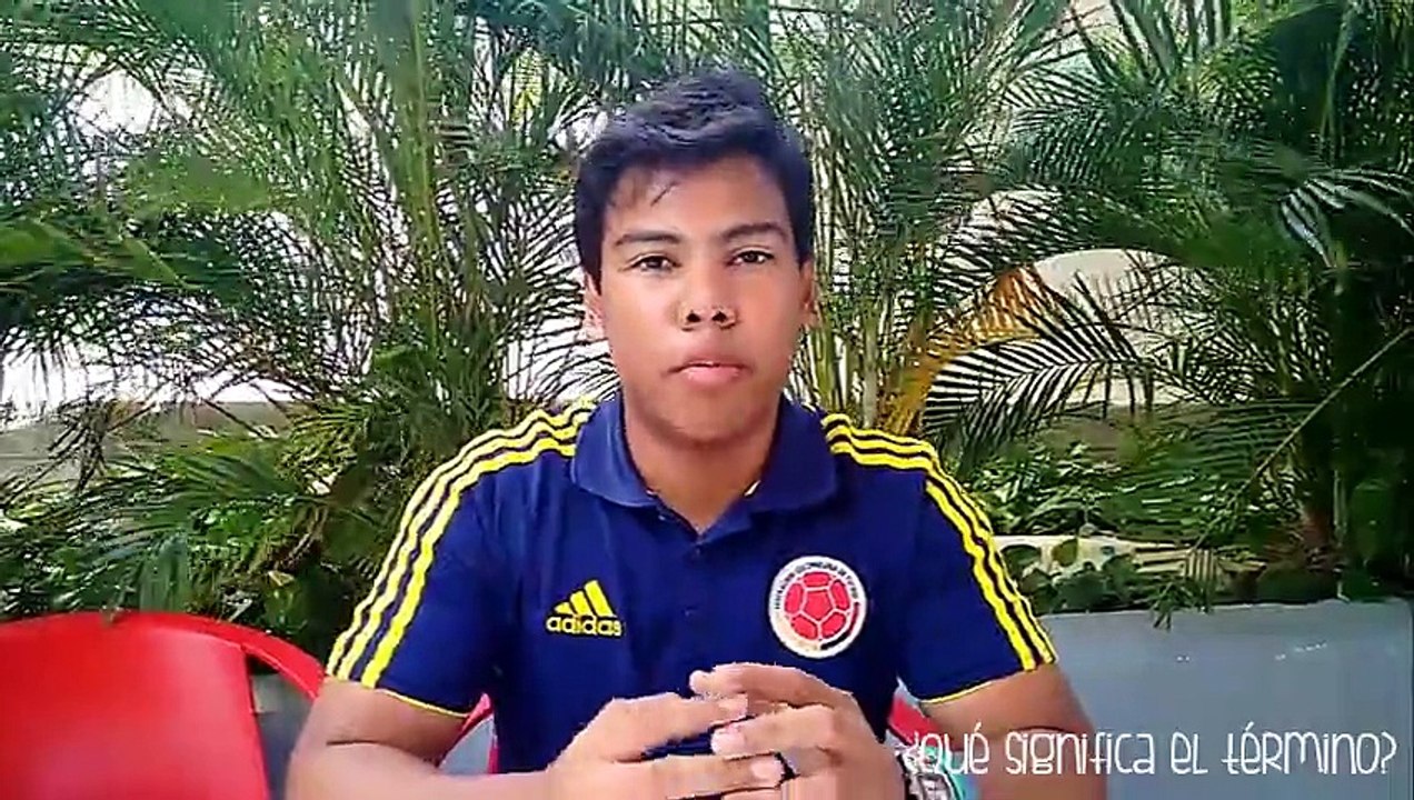 Vídeo - Introducción Ing. Sistemas (RA)