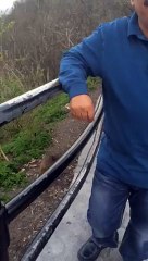 كواليس كلام الناس 3 رقم 18 بطولة حسن عسيري