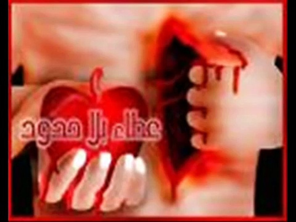 انا الغلطان ماش انتي