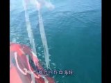 媽祖魚(白海豚)保育短片