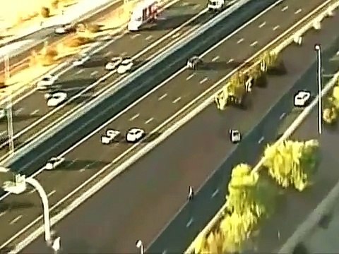 شوف وانسى همومك 1262 كلب اشغل الدنيا