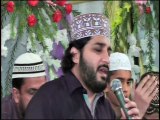 Huzoor Meri to Sari Bahar AAP Se Hai - Hafiz Muhammad Noor Sultan Siddiqui