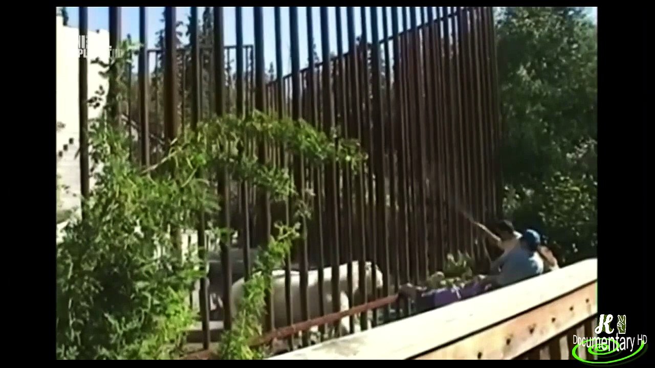 HD720p (فيلم وثائقي (مشاهد جامحه وغير محذوفه