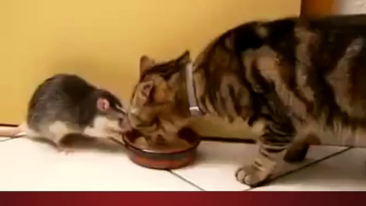 Best friends