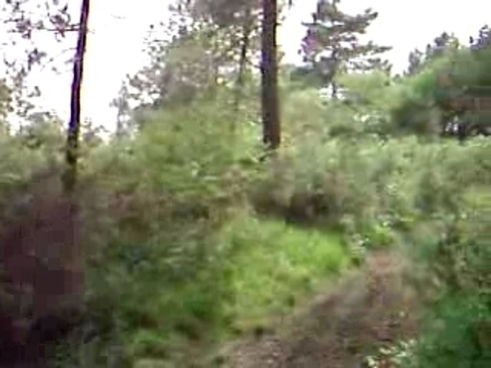 Cross Moi 2