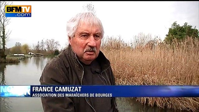 Marais des villes : un poumon vert au coeur de Bourges