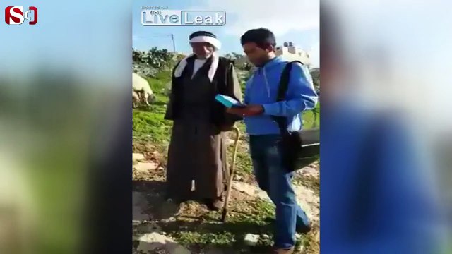 Çobanı nakavt eden koç rekor kırıyor