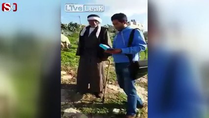 Çobanı nakavt eden koç rekor kırıyor