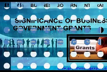 Significance-of-Business-Government-Grants