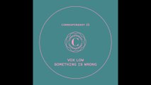 VOX LOW - Something is Wrong - 