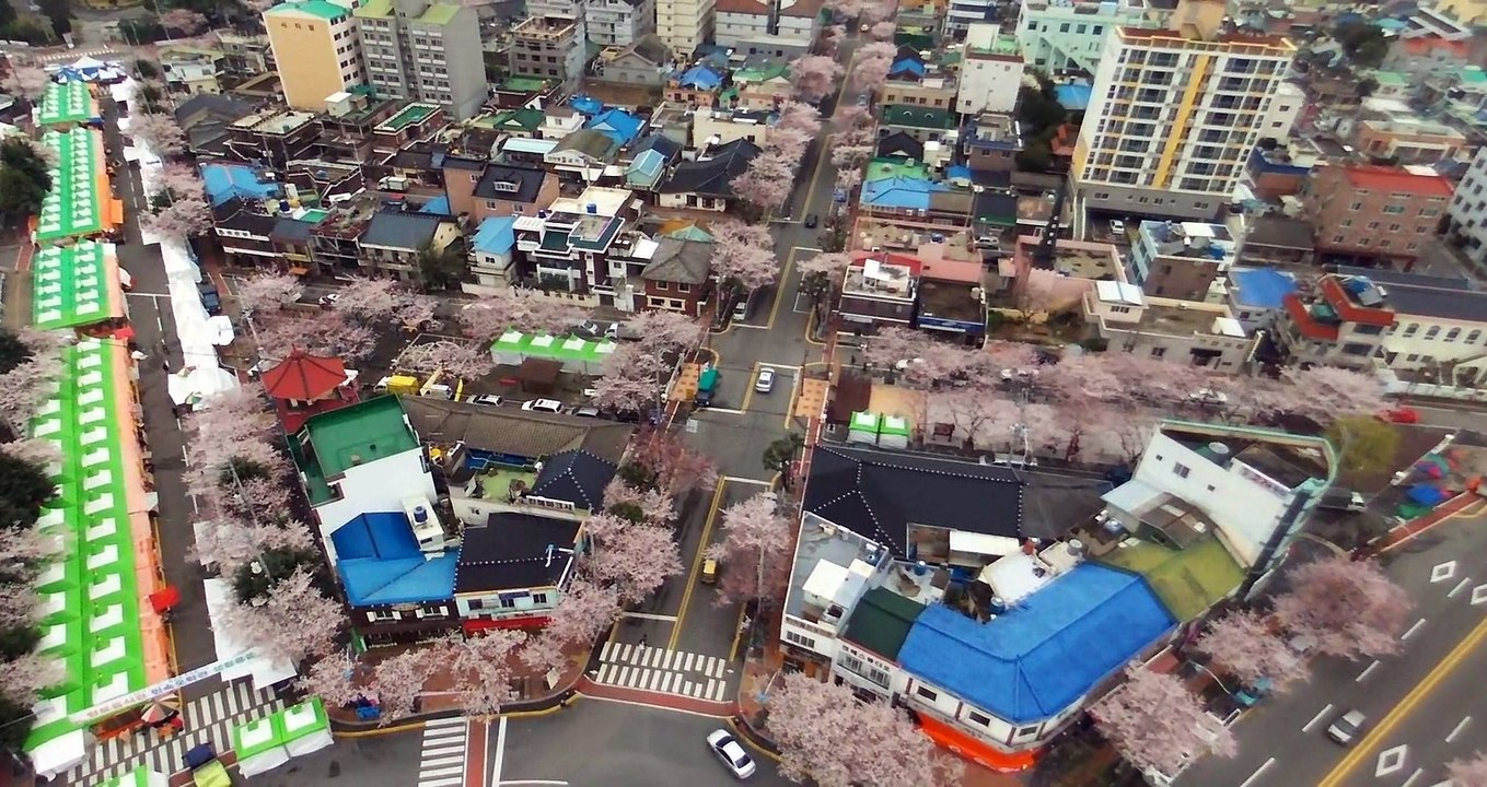 2015 Spring in Korea