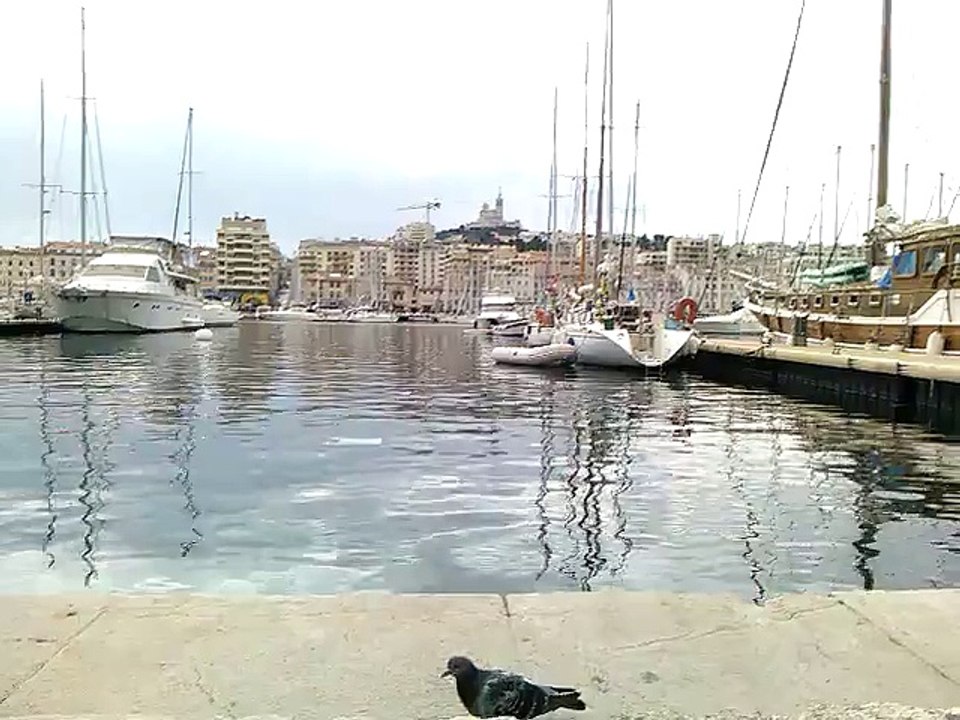 Capsula N°8 Vieux port