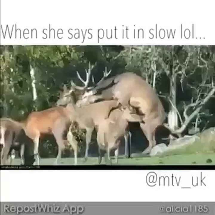 When She Says Put it in Slow Funny