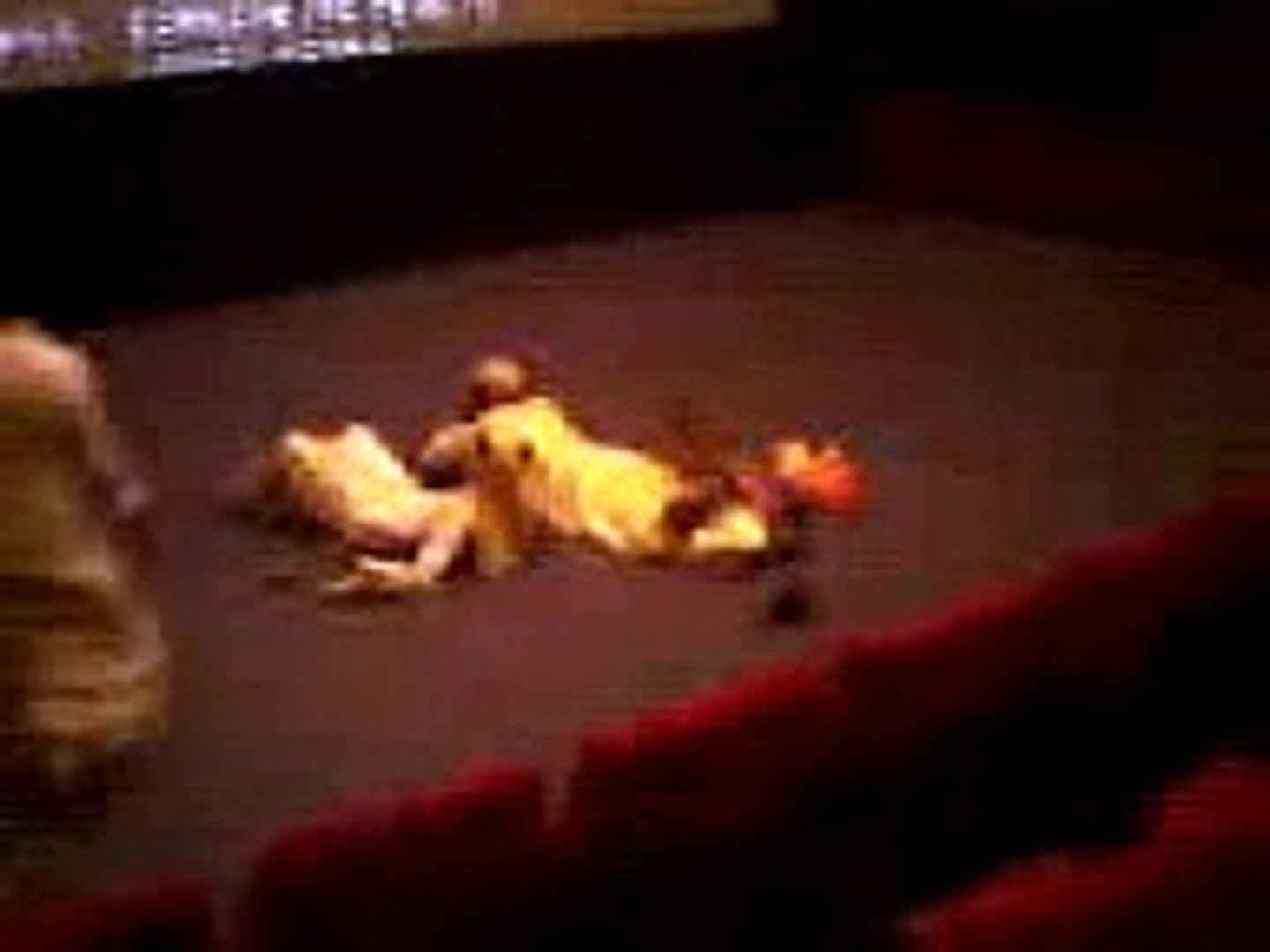 ⁣بدو في سينما