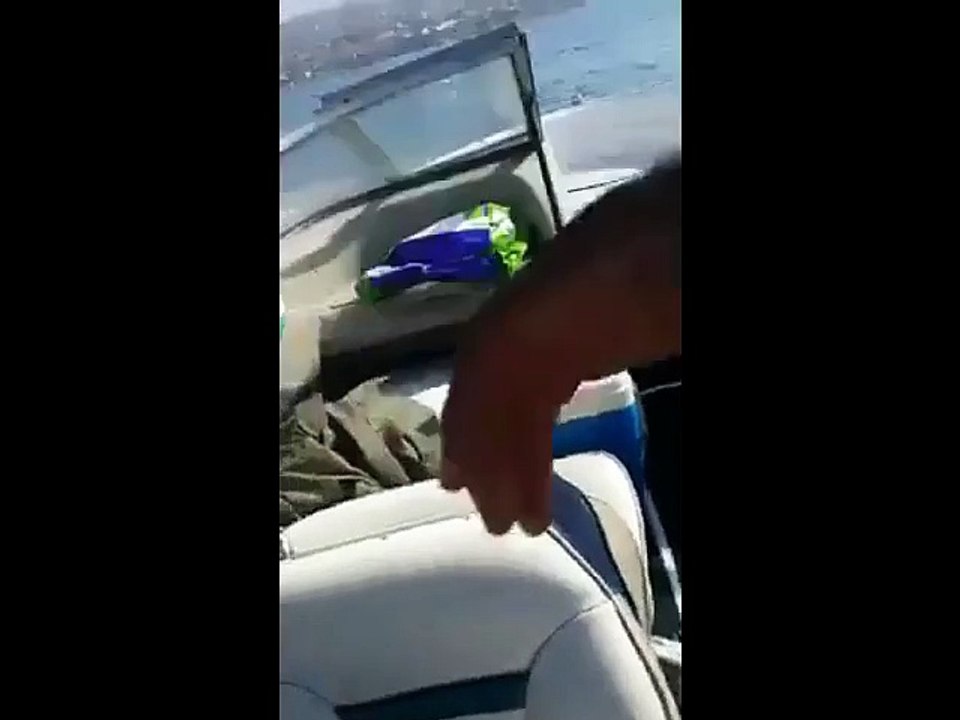 Amazing fish