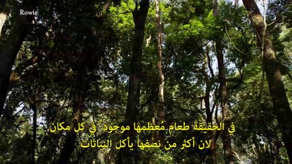 سلسلة الوحوش المجهرية -1- الصراع