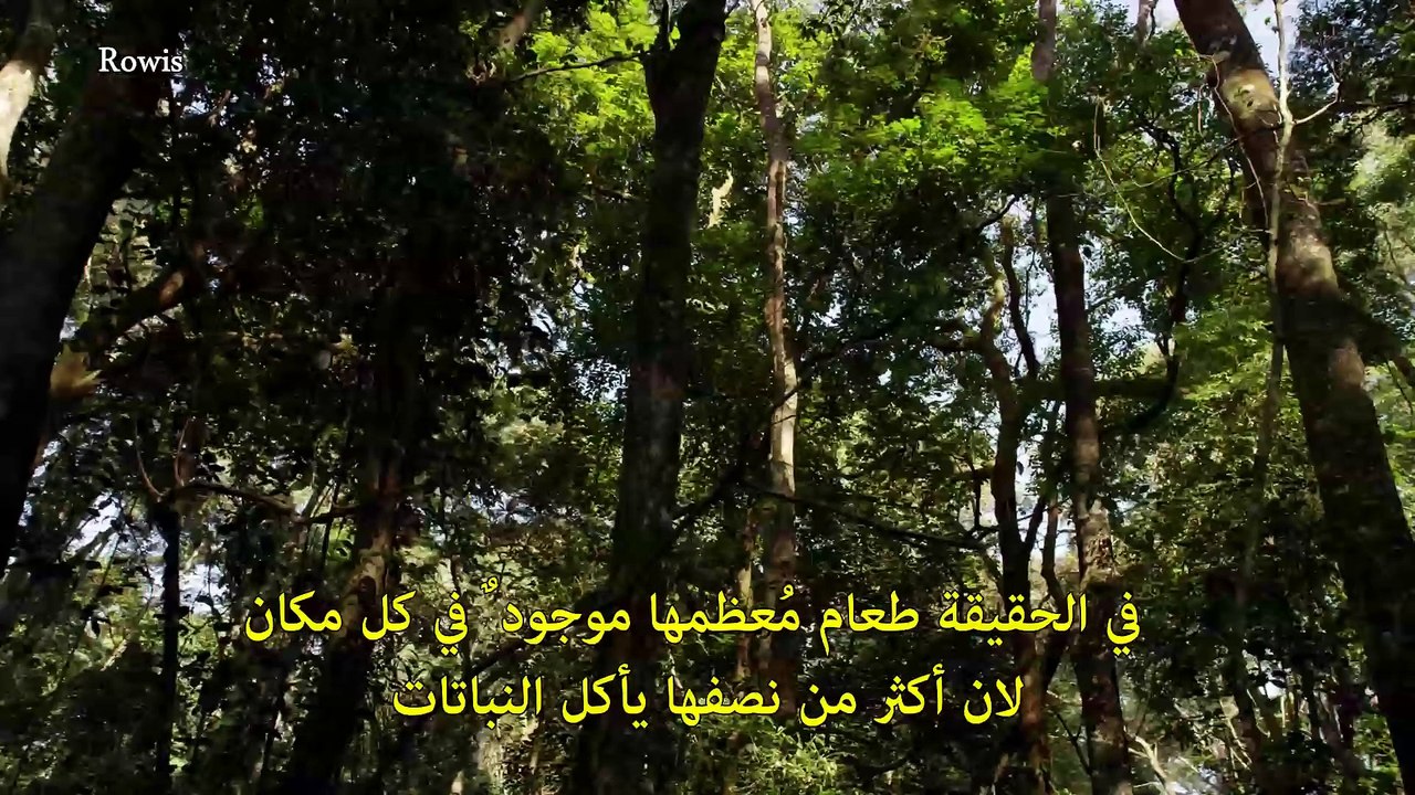سلسلة الوحوش المجهرية -1- الصراع