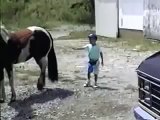 Kid Kicked by a horse - Funny