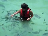 Oh!!! Baby Shark attacks on Woman