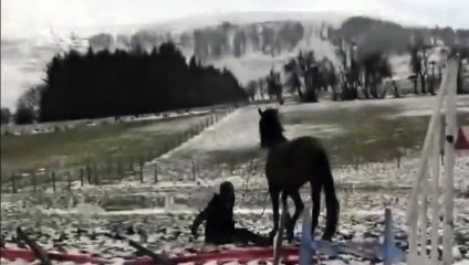 OMG !!! Girl survives being kicked in the head by a horse