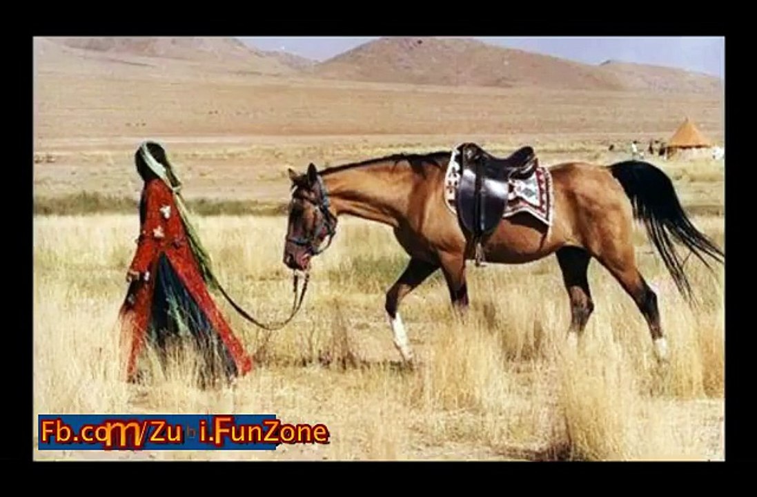 (2) Facebook
