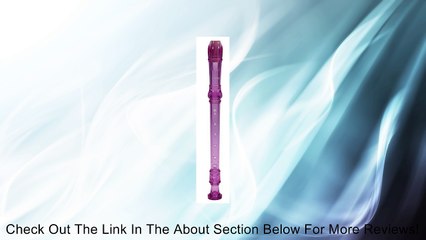 Schylling Recorder Review