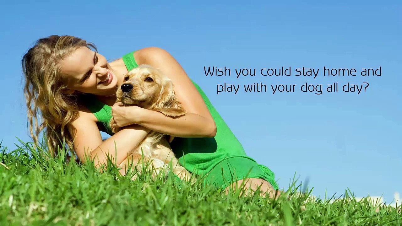 Dubai Kennels & Cattery: The Ideal Place For Your Pets