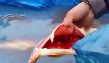 Praise Be to Almighty Allah, Who Created Everything Without any Flaw.....!!!!!!!!!!!!