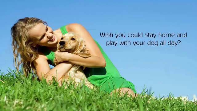 Reliable Pet Care Services From Dubai Kennels & Cattery