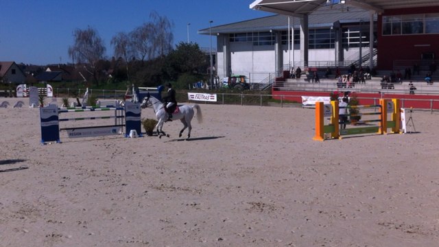 Grand prix jump Élite Manche
