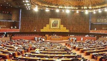 Parliament joint session