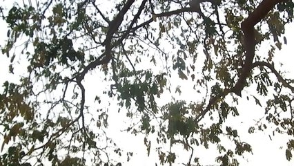 pwahahaha, shit tastes good