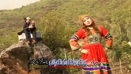 Pashto New Album Jora Guloona VOL 7 HD 2