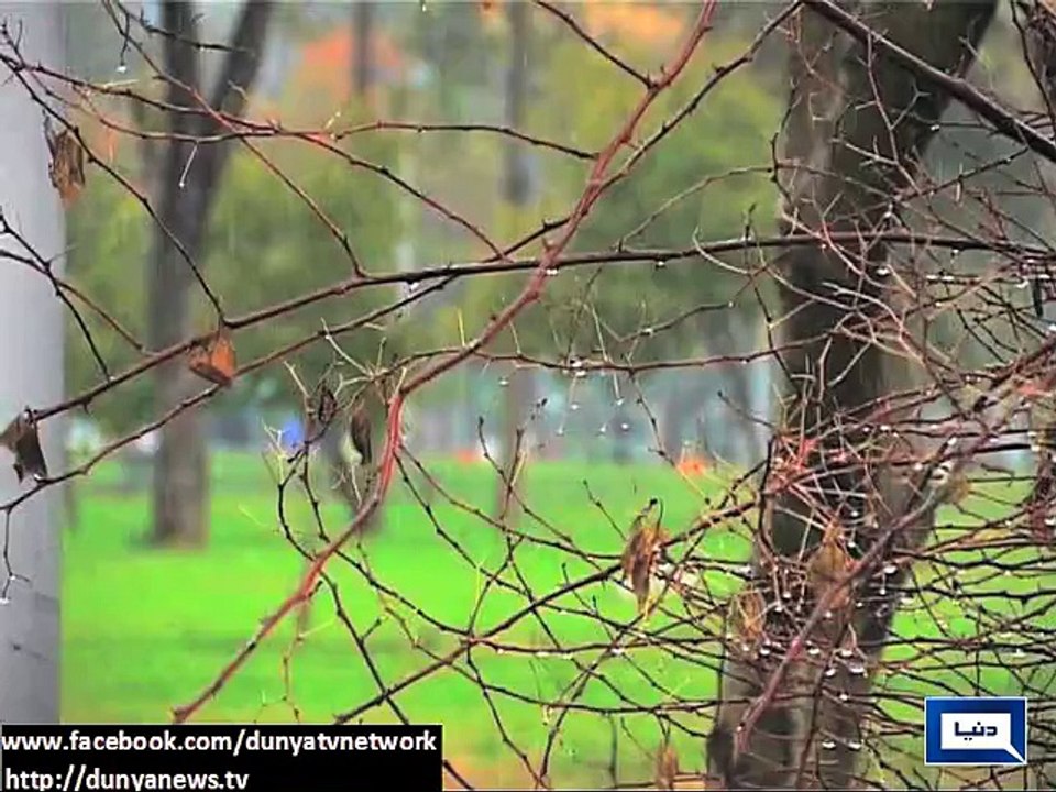Dunya News - Rain predicted in various cities