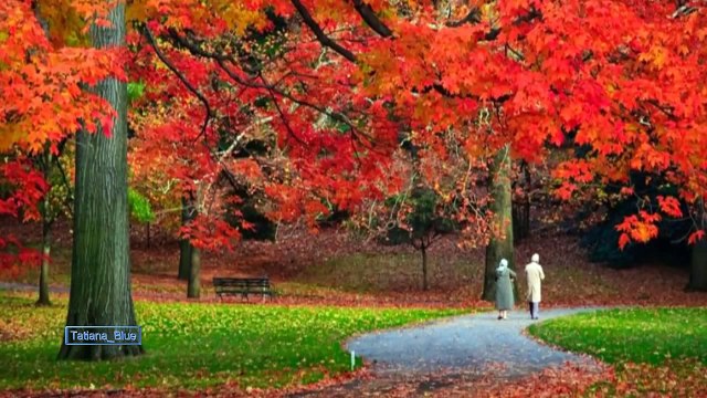 Si totusi,vine toamna... - Tatiana Stepa si Adrian Paunescu