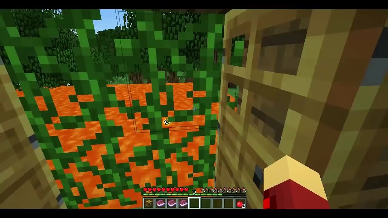 Das Haus _ Minecraft Film [Deutsch_HD]