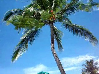 Chenang beach,Langkawi Malaysia