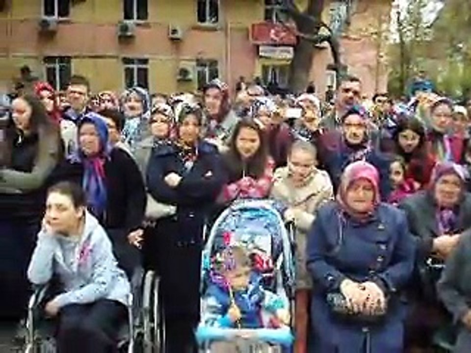 MOV03464