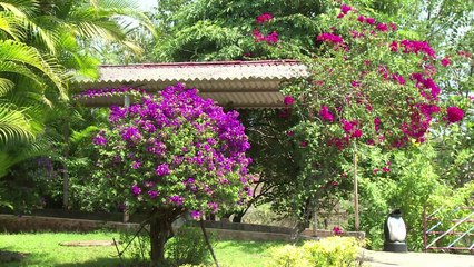 مجمعات سكنية مخصصة للمسنين في الهند