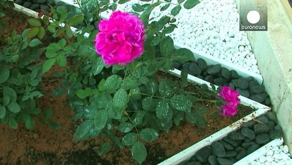 دوسالانه هنر شارجه، آشنایی با ملل مختلف از دریچه هنر