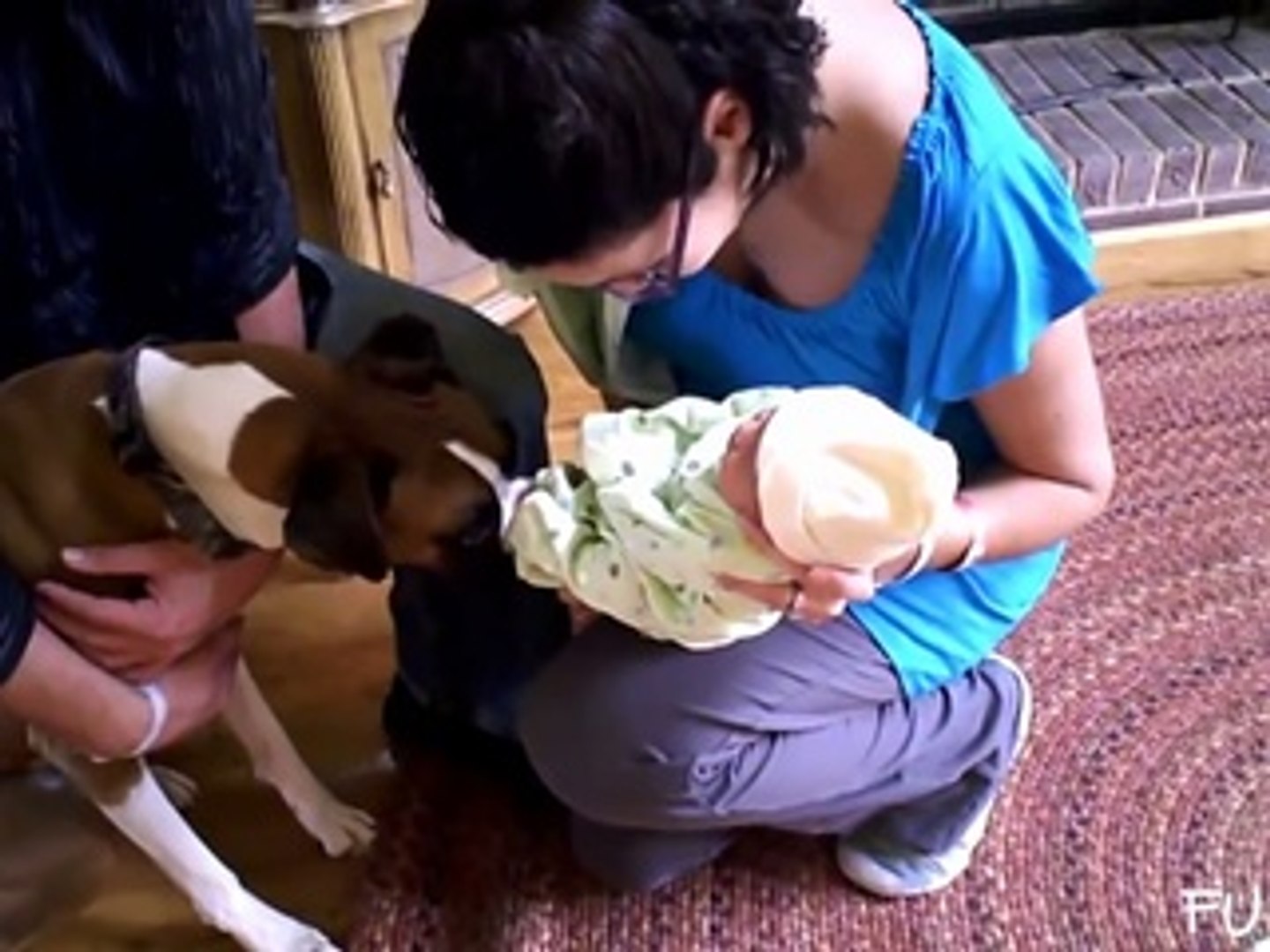 ⁣Pets Are Excited About Meeting Babies  Compilation - FunnyTV