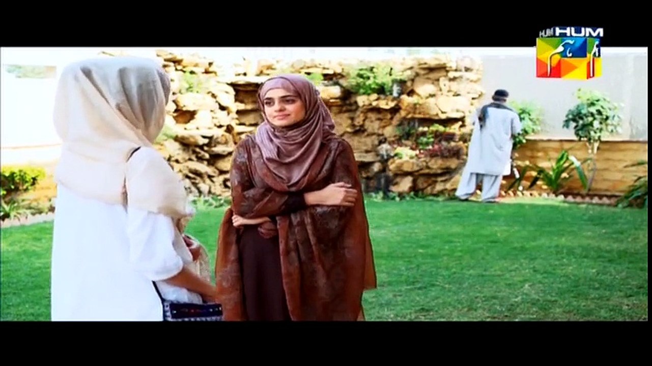 Aik Pal Episdoe 20-Watch 6 Apil 2015 Hum Tv-Full Hd