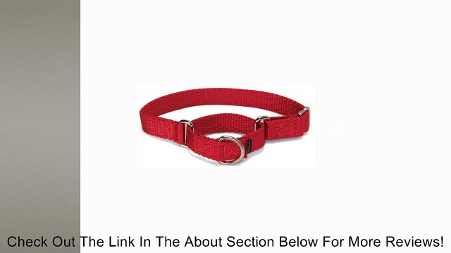 PetSafe Premier Pet Collar Review