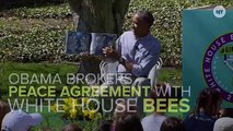 Obama To Kids Screaming About Bees: They Won't Sting You