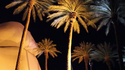 BEES IN THE TRAP EPISODE 1 Back to Brooklyn (1920 x 1080)