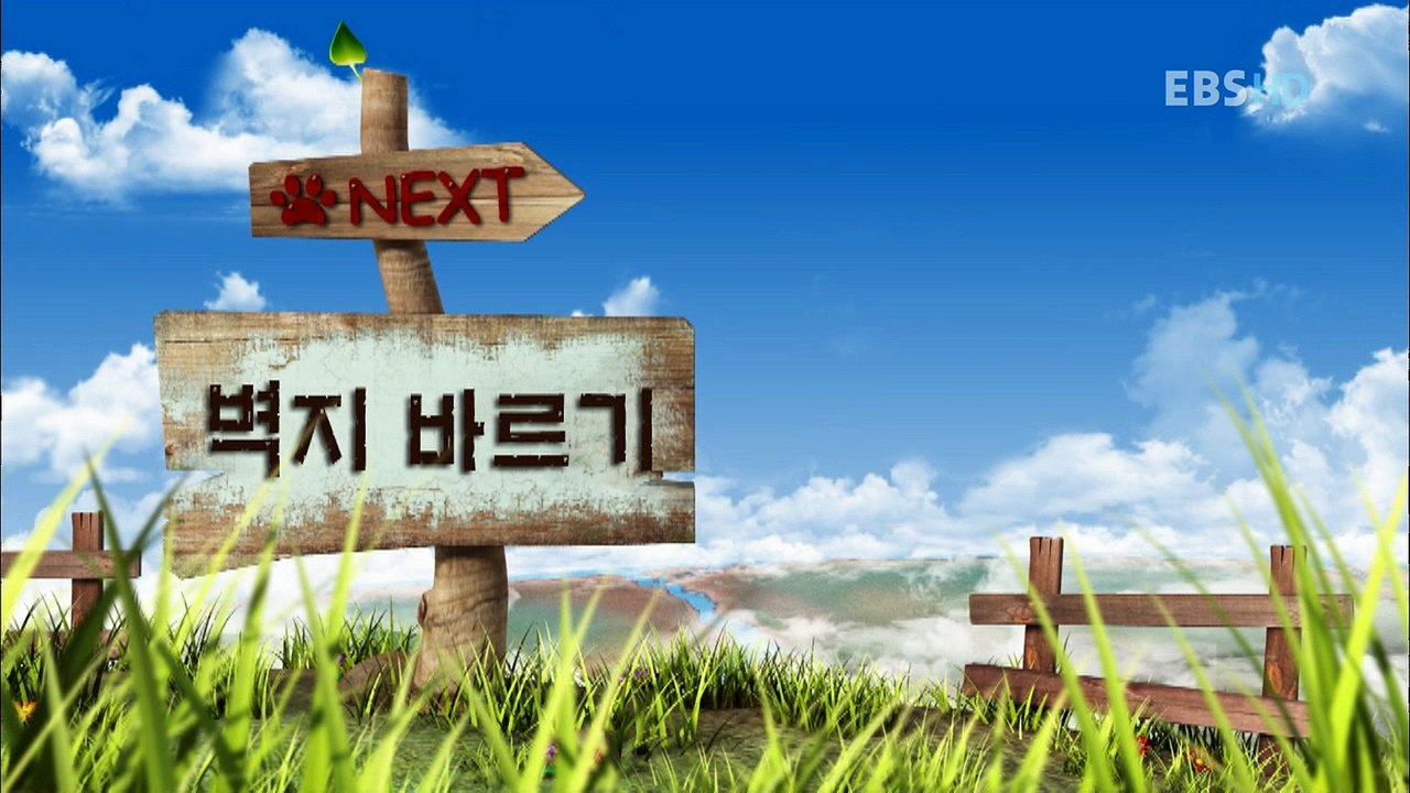 Bernard Bear - Bernard The Polar Bear - Chú Gấu Xui Xẻo - Tập 5