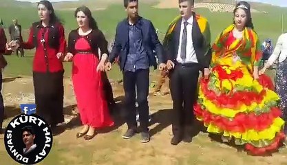 İŞTE HAKİKİ KÜRT DÜĞÜNÜ BUDUR HERBİJÎ