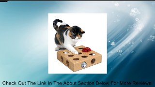SmartCat Peek and Play Toy Box Review