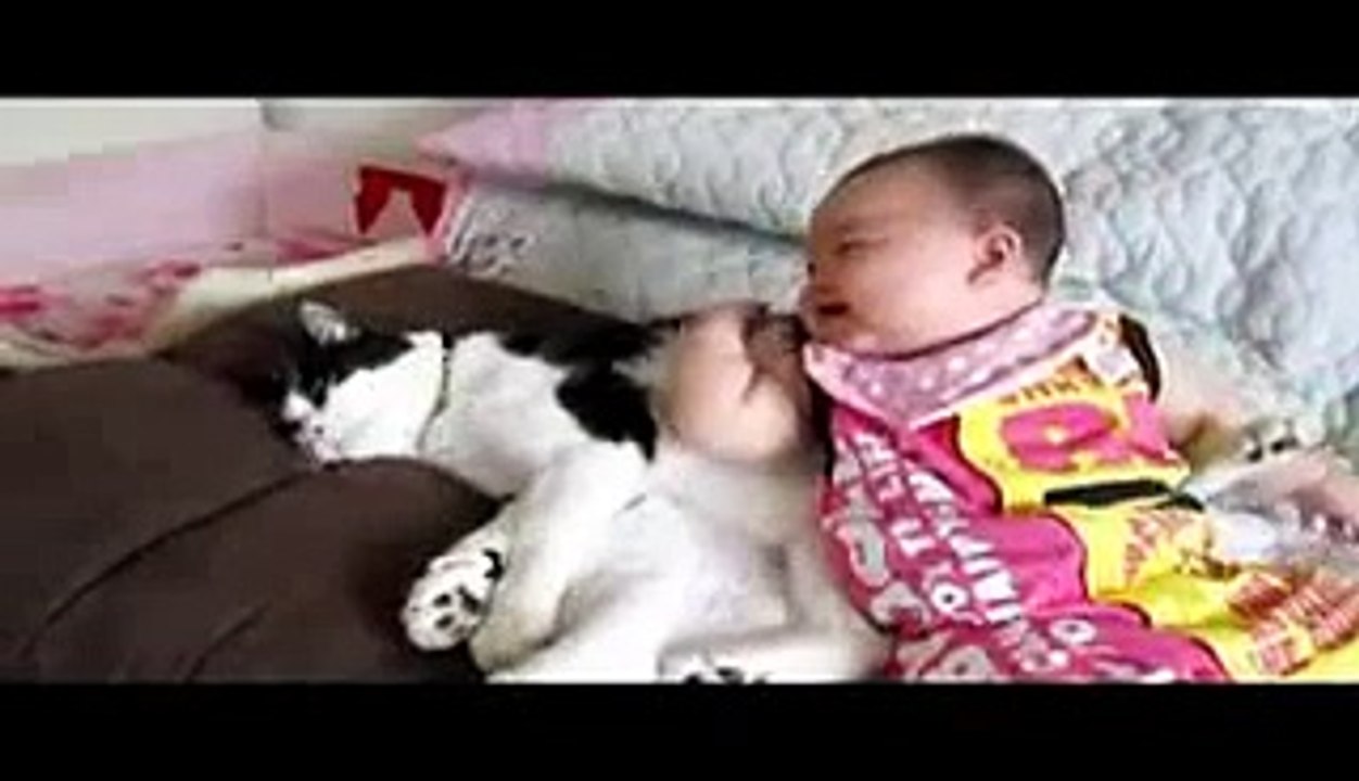 Super cute kid and the cat addtofun.com