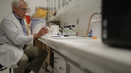 sneak peek, The Big Picture with Kal Penn Season 1 Episode 4 full